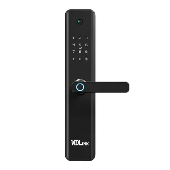 Serrure de Porte Intelligente WD1