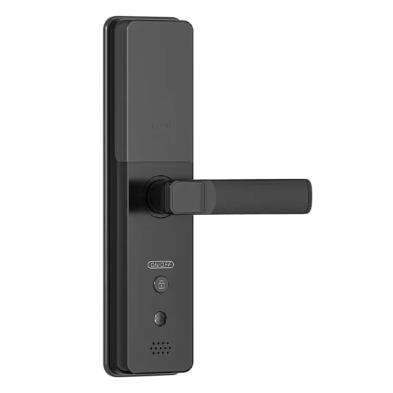 Smart Door Lock WD2P