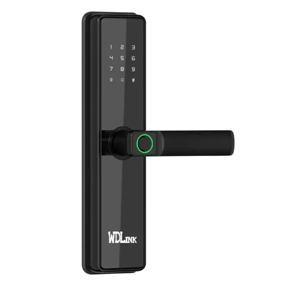 Smart Door Lock WD2
