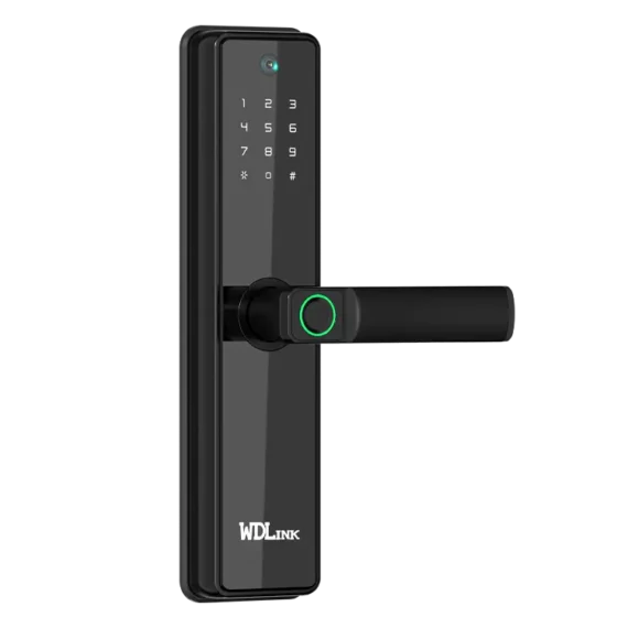 Smart Door Lock WD2P